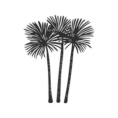 Obraz premium Three Palm Trees Silhouette Illustration. Tropical Nature And Relaxation Theme Isolated Vector Illustration