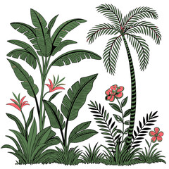 Tropical vintage botanical palm trees, banana tree, green plants floral seamless border white background. vector	