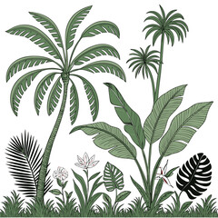 Tropical vintage botanical palm trees, banana tree, green plants floral seamless border white background. vector	