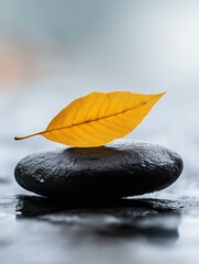 Close-up of a single yellow leaf resting on top of a black stone. the leaf is positioned in the center of the image, with the stone on the right side and the leaf on the left side.