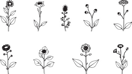 Fototapeta premium Set of plants and flowers. Hand drawn vector illustration