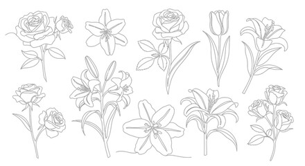 Obraz premium Elegant Line Art Flowers Roses and Lilies Collection - Vector Illustration