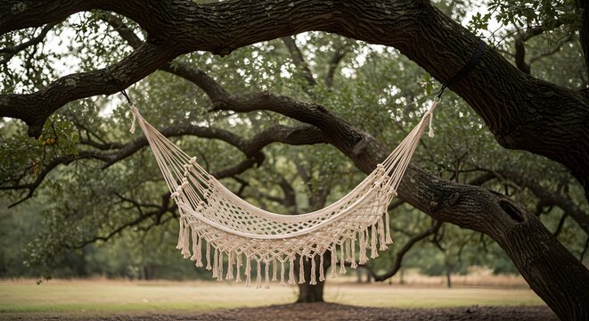 A handwoven hammock chair with macrame knots under oak tree
