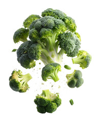 Falling Broccoli Pieces Isolated on Transparent White Background

