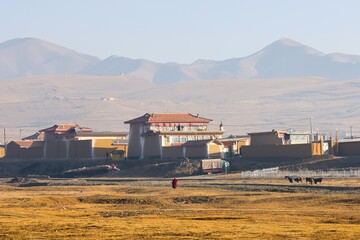 A lone monk walks across the golden plains near Kirti Monastery in Ngawa, set against the vast...
