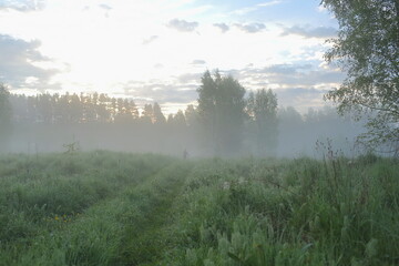 Obraz premium A girl, a man running silhouette in the fog in the forest on the road in the morning