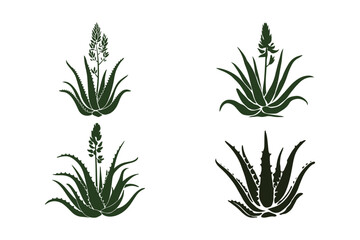 Aloe Vera Plant Design Set