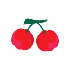 Acerola. Berries. A color vector on a white background.
