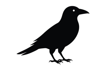 silhouette vector illustration of a crow.eps