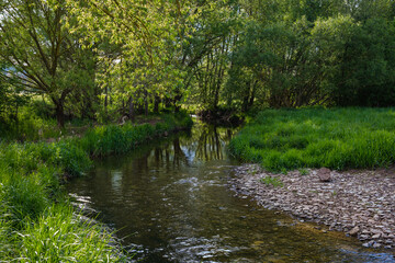 A Serene Riverbank, Gently Flowing and Beautifully Surrounded by Lush Greenery and a Cloudy Sky