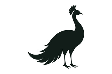 Fototapeta premium silhouette vector illustration of a peacock.eps