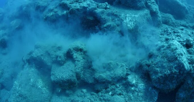sponge spawning underwater from rocks behaviour ocean scenery in nature mediterranean sea