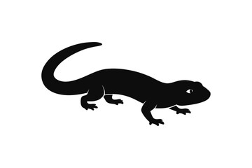 silhouette vector illustration of a salamander.eps