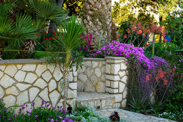 Mediterranean home garden with various species of green and flowering plants