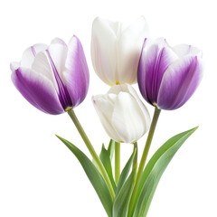 Stunning Arrangement White And Purple