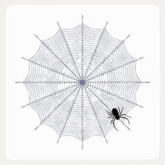 Obraz premium Vector - Spider Web with Silhouetted Spider 2