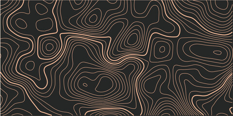 The stylized height of the topographic map contour in lines and contours. The concept of a conditional geography scheme and the terrain path. Orange on black. Ultra wide size. Vector illustration.
