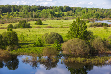 Tranquil summer meadow featuring green fields, a reflective river water