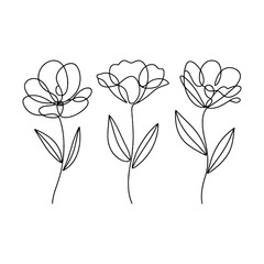 Petal Line Trio. A soft floral illustration with layered petal lines and organic flow. Great for packaging, web design, and prints.