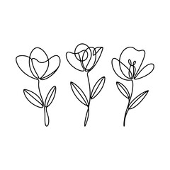 Delicate Blooming Shapes. Three uniquely shaped flowers with detailed petals and fine lines. Great for soft branding and natural product packaging.