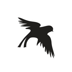 Silhouette or shadow black ink symbol of a bird or  flying icon. background vector illustration isolated on white.