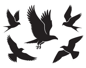 Obraz premium Five black silhouettes of birds in flight
