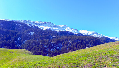 Obraz premium Leis, Vals - Graubünden (Schweiz)