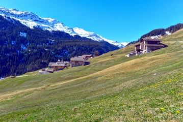 Leis, Vals - Graubünden (Schweiz) © Ilhan Balta