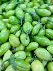 fresh jiló 