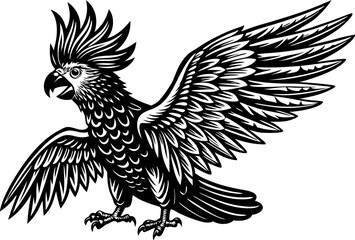 A cockatoo raising its crest, isolated on a white background. Parrot silhouette isolated on white background