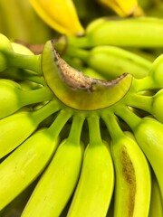 bunch of bananas