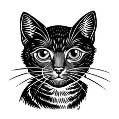 Detailed black and white cat face drawing illustration of feline pet with whiskers and pointy ears art