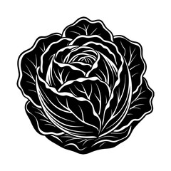Black and white cabbage vector illustration, organic vegetable clip art, healthy food drawing design