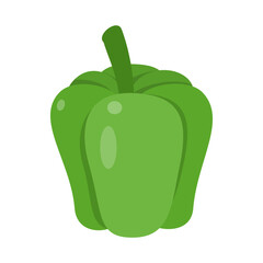 Single green bell pepper, close up isolated in studio shot, simple and vivid drawing style