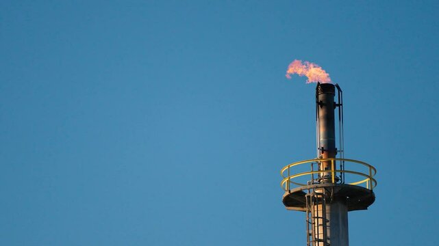 Gas flare with burning flame