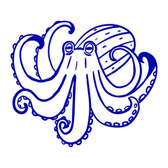 Hand drawn  octopus design. Vector illustration of sea animal. Graphic marine element.