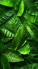 Lush green leaves background creating a serene and vibrant atmosphere, perfect for nature-themed projects, interior designs, or eco-friendly lifestyle representations.