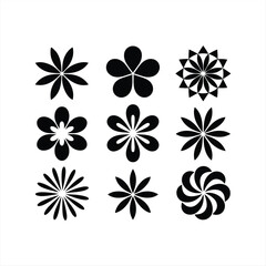 black and white flowers