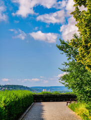 Naklejka premium Serene pathway leading through lush greenery, with a clear blue sky dotted with clouds overhead. The scene is set against a backdrop of distant hills or mountains, creating a peaceful atmosphere 