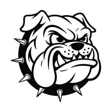 Aggressive bulldog mascot logo with spiked collar in black and white perfect for team branding