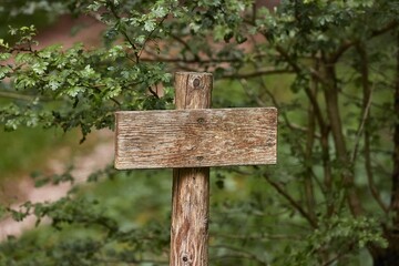 Blank Wooden Sign on Trail