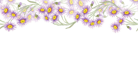Lush horizontal trail of purple asters with scattered blossoms and greenery. Seamless pattern Watercolor illustration fitting for invitation borders, blog banners, or textile print accents