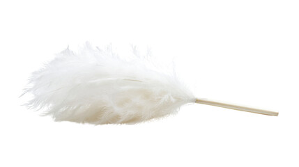 white feather on white background