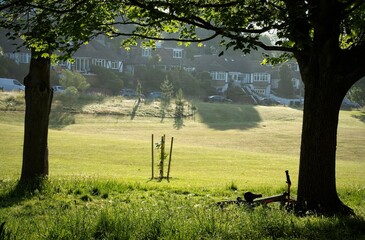 Urban green in morning sunshine