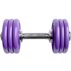 Purple Adjustable Barbell with Multiple Shiny Weight Plates and Chrome Knurled Grip for Fitness and Gym Equipment