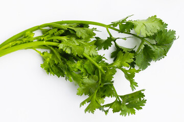Fresh organic coriander, vegetables and herbs
