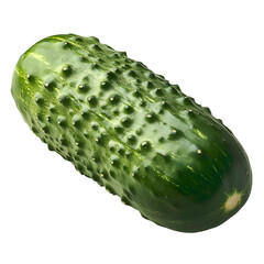 Vibrant Close-Up of a Fresh Bumpy Cucumber with Rich Green Skin and Natural Texture Isolated on Clean Surface