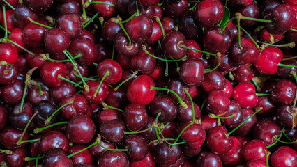 Close-up of fresh ripe cherries with stems, full frame vibrant red fruit texture background.