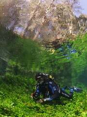 scuba diver underwater  in freshwater plants and vegetation exploring river and lake