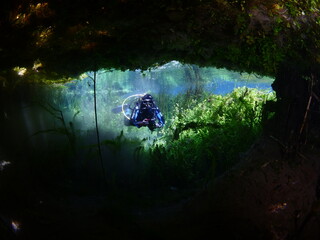 scuba diver underwater  in freshwater plants and vegetation exploring river and lake